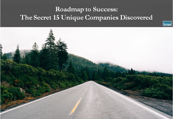 Roadmap to Success: The Secret 15 Unique Companies Discovered