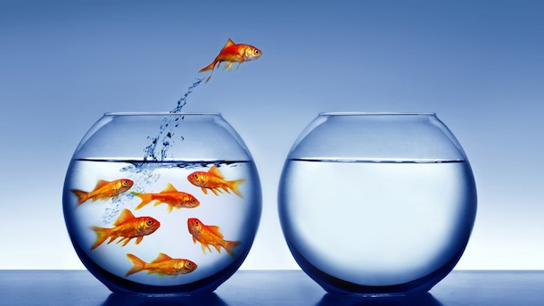 Do You Have a Career Plan?