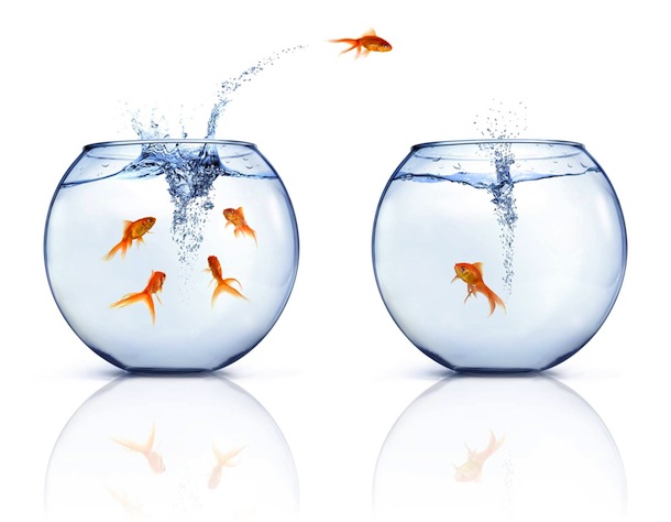 Differences Between Agency and Corporate Recruiting