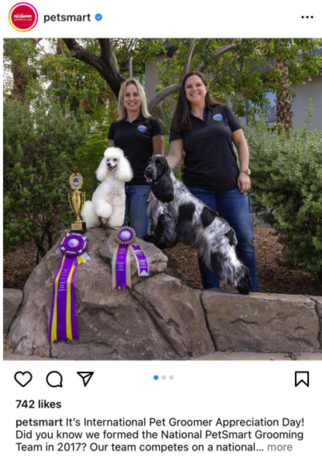 A social media post from Petsmart with two dog trainers with their dogs and ribbons standing on a rock. 